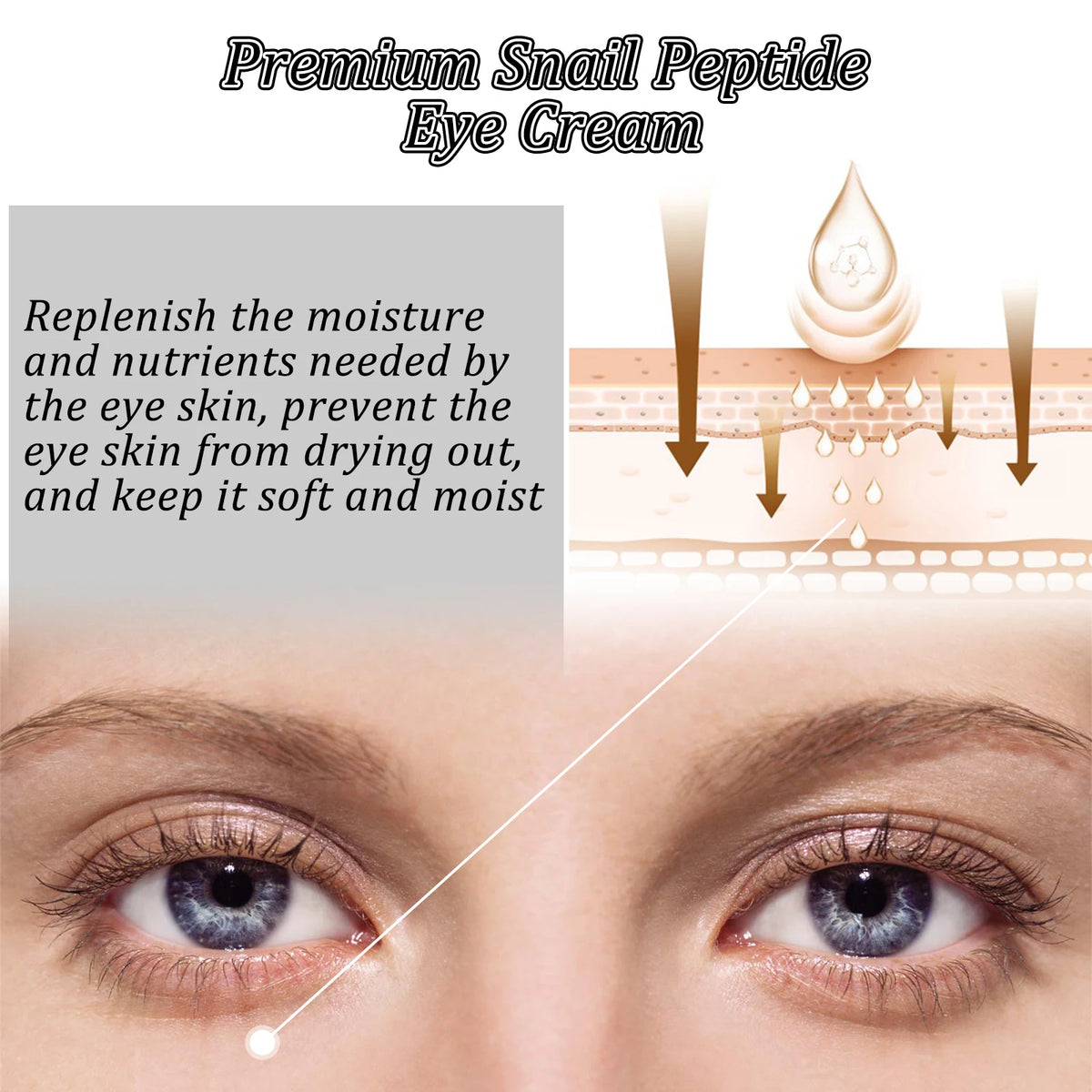 Hoygi Snail Peptide Eye Cream – Hydrating Roller